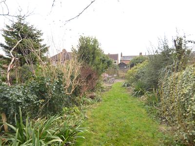 Picture 11
